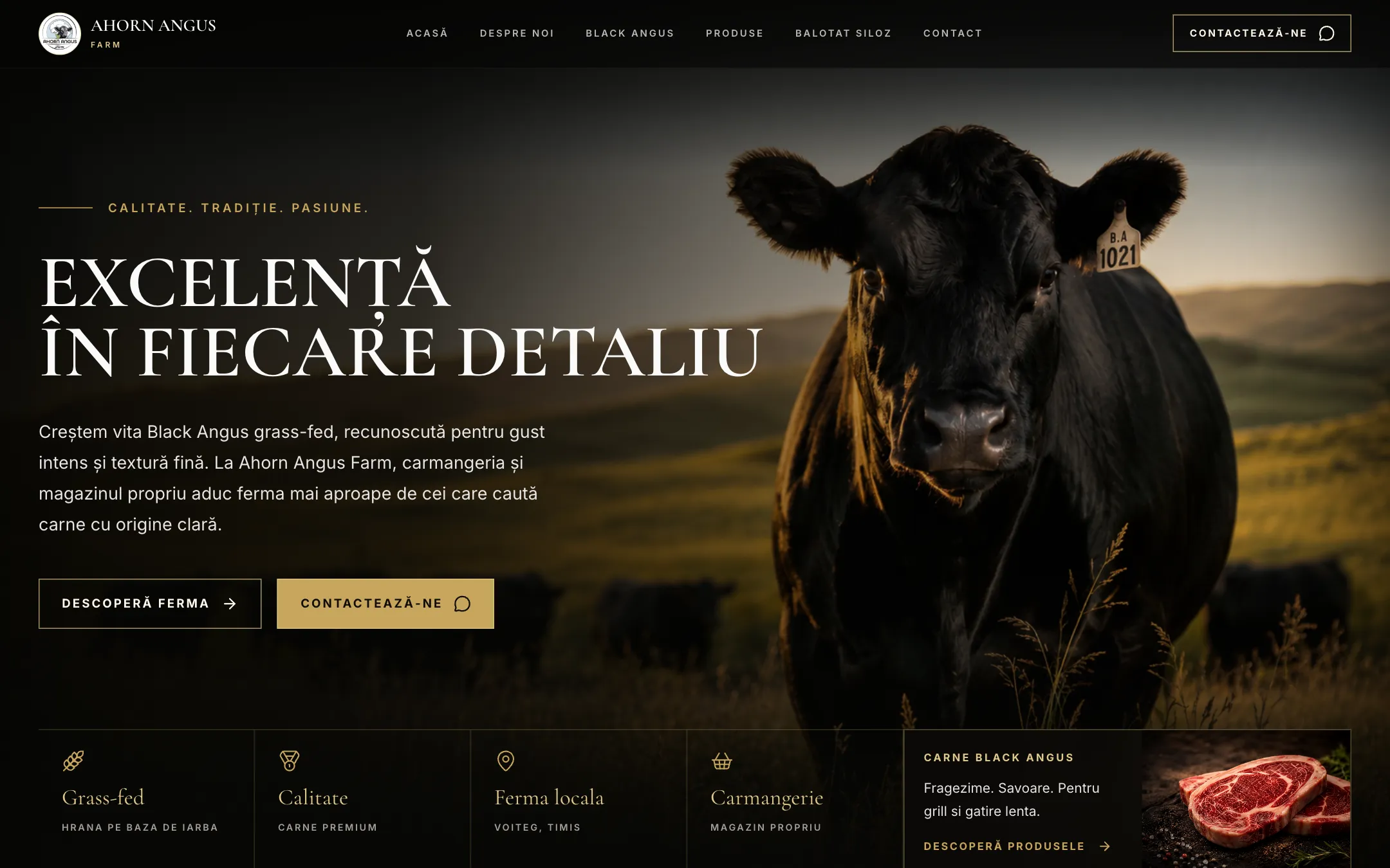 AHORN ANGUS — captură